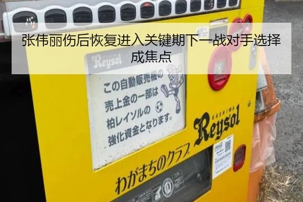 张伟丽伤后恢复进入关键期下一战对手选择成焦点